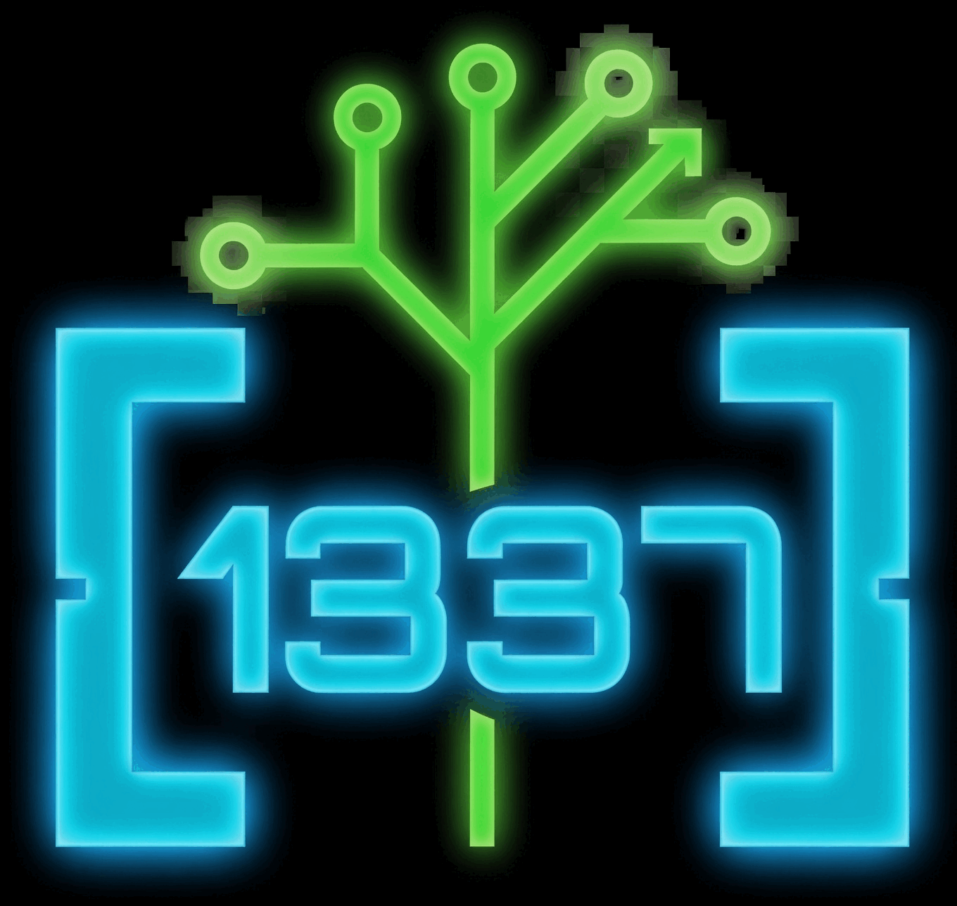 git.code.1337.so